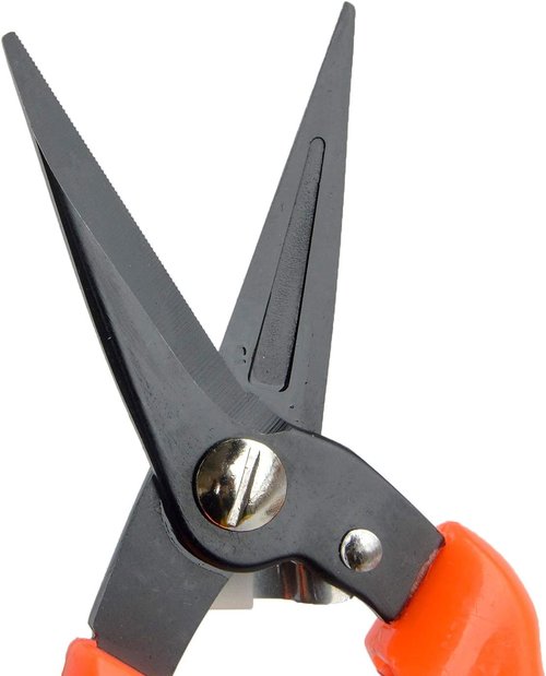 Regine Switzerland Hoof Trimmers - Multiuse Carbon Steel Shears for Goats, Sheep, and Alpacas