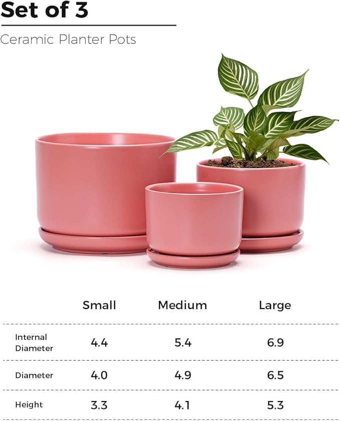 Ton Sin Ceramic Plant Pot with Drainage Hole and Saucer for Indoor Plants, Decorative Round Flower Pot for House Plants, Succulent Orchid Planter(Matte Orange)