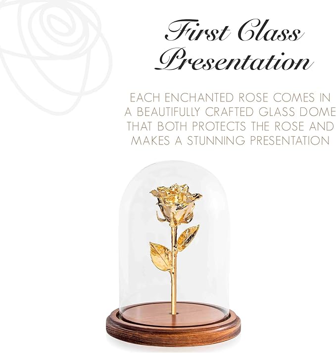 Forever Rose Enchanted Preserved with Real 24K Gold Rose Lasts Forever | Includes Wood Base & Glass Dome | 24K Gold Dipped Rose Assembled by Hand in The USA | Romantic Gifts for Women