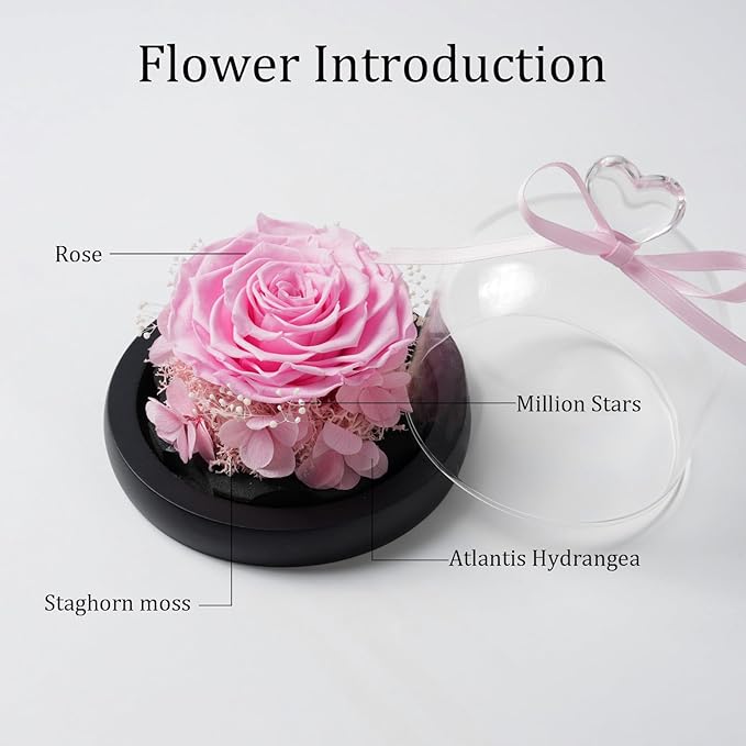 Flowers for Delivery - Forever Flowers Rose in Glass Dome with LED Lights, Large Size Preserved Roses Gifts for Women, Mom, Wife, Friend -Birthday, Anniversary, Valentine's Day Gift (Pink)