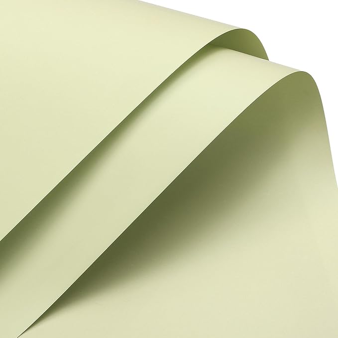 MECCANIXITY Set of 20 Flower Wrapping Paper 22.8x22.8 Inch Waterproof Florists Wrapping Paper for Florist Bouquet Supplies, DIY Crafts, Gift/Gift Box Packaging Light Green