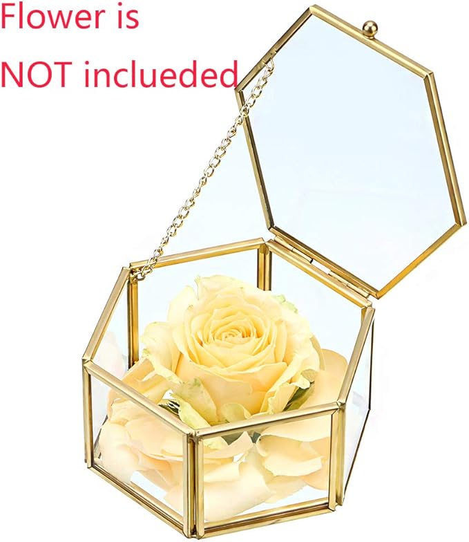 Hipiwe Preserved Flower Glass Box, Hexagon Glass Jewelry Decorative Bin, Ornate Trinket Display Organizer Case Keepsake Box Gift for Women