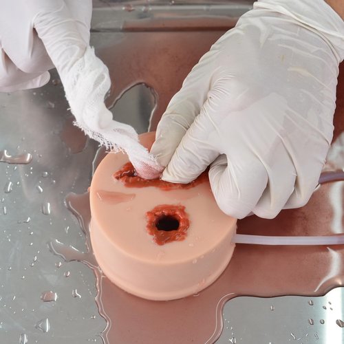 Skiennix 2-in-1 Wound Packing Trainer - Realistic Silicone Simulator for Hemorrhage Control | Stop The Bleed Training