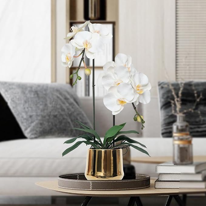 CXGS Orchids Artificial Flowers Realistic Fake Flowers in Ceramic Pot 20" White Lifelike Faux Floral Arrangement Soft PU Phalaenopsis for Home Hotel Indoor Decor, Centerpiece Display