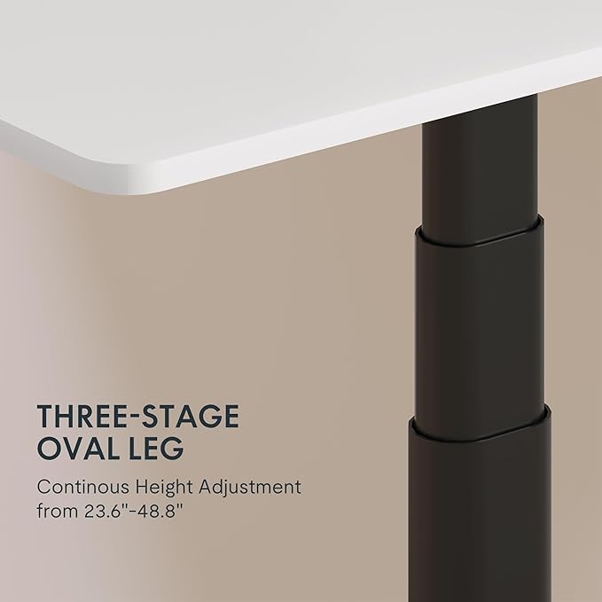 FLEXISPOT E6 Pro Oval Leg Dual Motor 3 Stages Standing Desk 48x30 Inch Skin-Friendly Electric Height Adjustable Whole-Piece Sit Stand Up Desk 150KG Load Capacity (Black Frame + White Desktop)