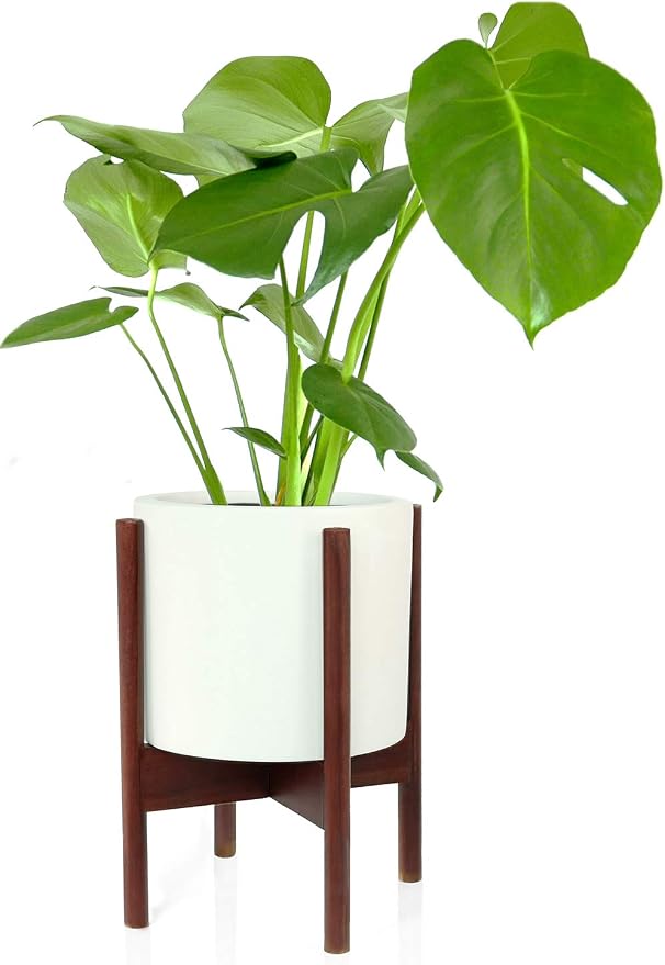 Fox & Fern Mid Century Plant Stand — 8 Inch Fixed Size Wooden Plant Stand for Indoor Planters (Not Included) - Raised Flower Pot Holder for Indoors - Plug In Design - Two Height Options - Acacia