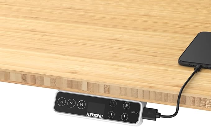 FLEXISPOT E6 Pro Oval Leg Dual Motor 3 Stages Bamboo Electric Standing Desk 78x30 Inch Whole-Piece Board Height Adjustable Electric Sit Stand Up Desk (White Frame + Bamboo Desktop)