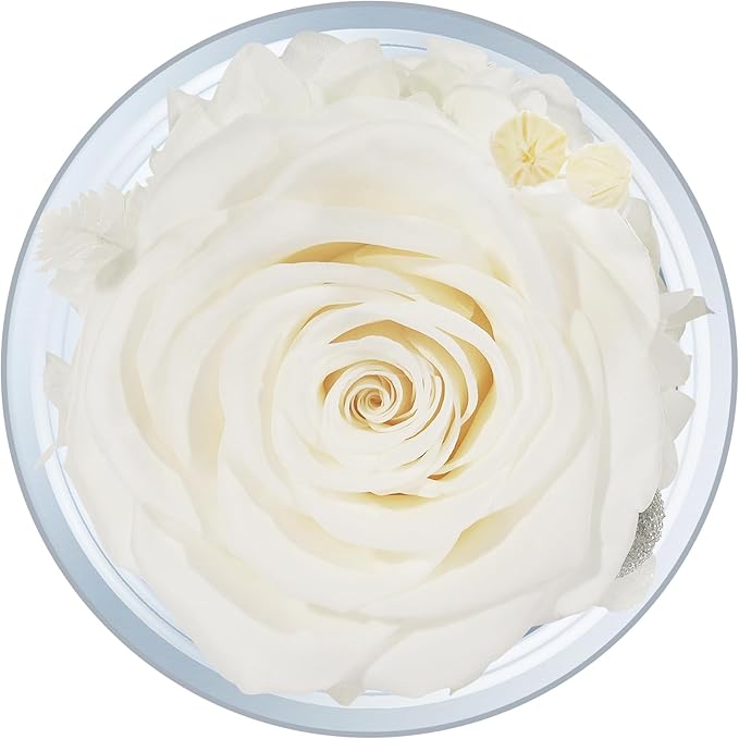Sunia Preserved Flower Rose Gift for Women - Mother's Day Birthday Gifts for Mom Wife Grandma, Glass Angel Figurines Forever Real Roses Gifts for Her Valentine Day Thanksgiving﻿ (White)
