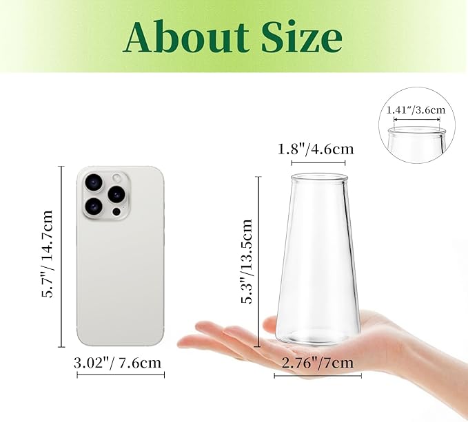 Hewory Glass Bud Vases for Centerpieces: Small Clear Modern Flower Vase Set of 6, Minimalist Cute Mini Decorative Bulk Vases for Wedding Birthday Bridal Shower Party Events Dining Room Table Decor