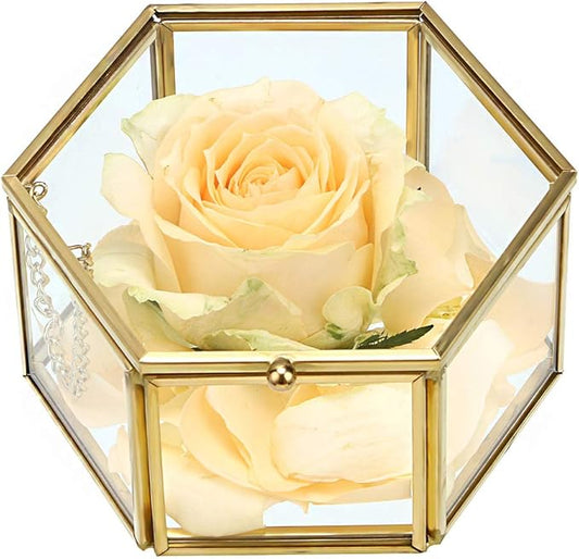 Hipiwe Preserved Flower Glass Box, Hexagon Glass Jewelry Decorative Bin, Ornate Trinket Display Organizer Case Keepsake Box Gift for Women