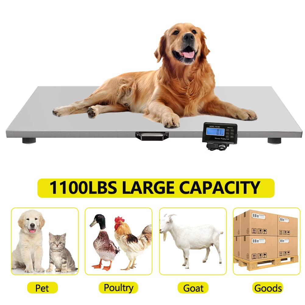 Skiennix Digital Livestock Scale - 1100Lbs Capacity | Stainless Steel Platform for Large Pets & Livestock