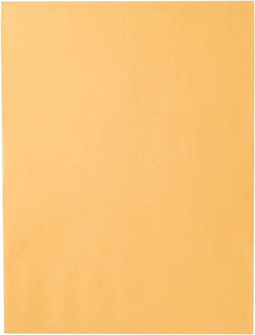 Mead Brown Kraft Envelopes - 9" x 12" Clasp Closure, 24-lb All-Purpose, 20 Count Pack