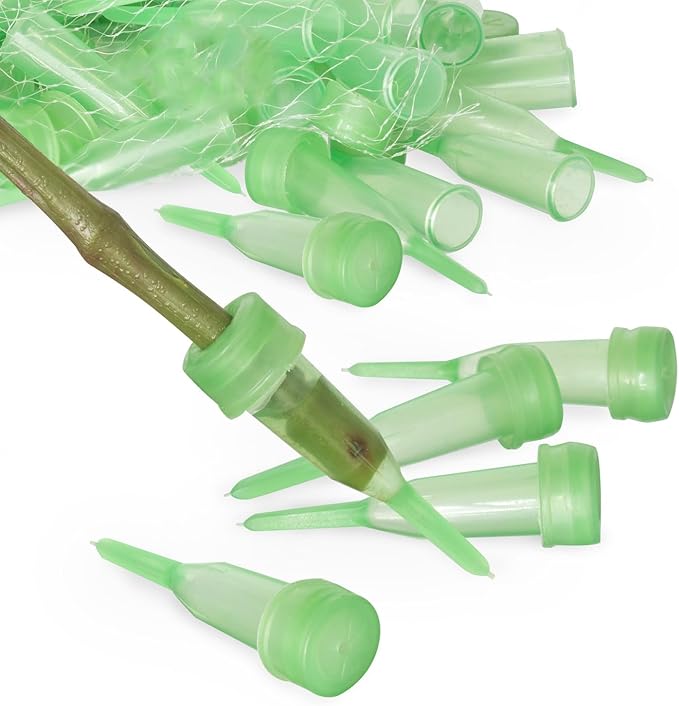 Royal Imports Floral Water Tubes with Caps – 3" Green Plastic Flower Vials for Single Stem Roses, Buds, Bouquets – Pointed Style, 1/2" Opening – 100 Pack