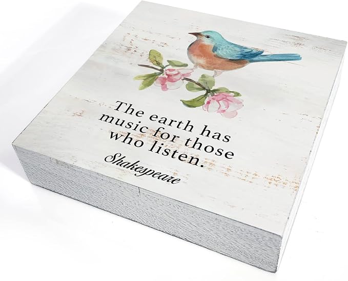 the Earth Has Music Wood Box Sign Home Decor Rustic Bird Spring Wooden Box Sign Block Plaque for Wall Tabletop Desk Home Decoration Bird Lover Gift
