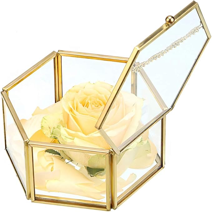 Hipiwe Preserved Flower Glass Box, Hexagon Glass Jewelry Decorative Bin, Ornate Trinket Display Organizer Case Keepsake Box Gift for Women