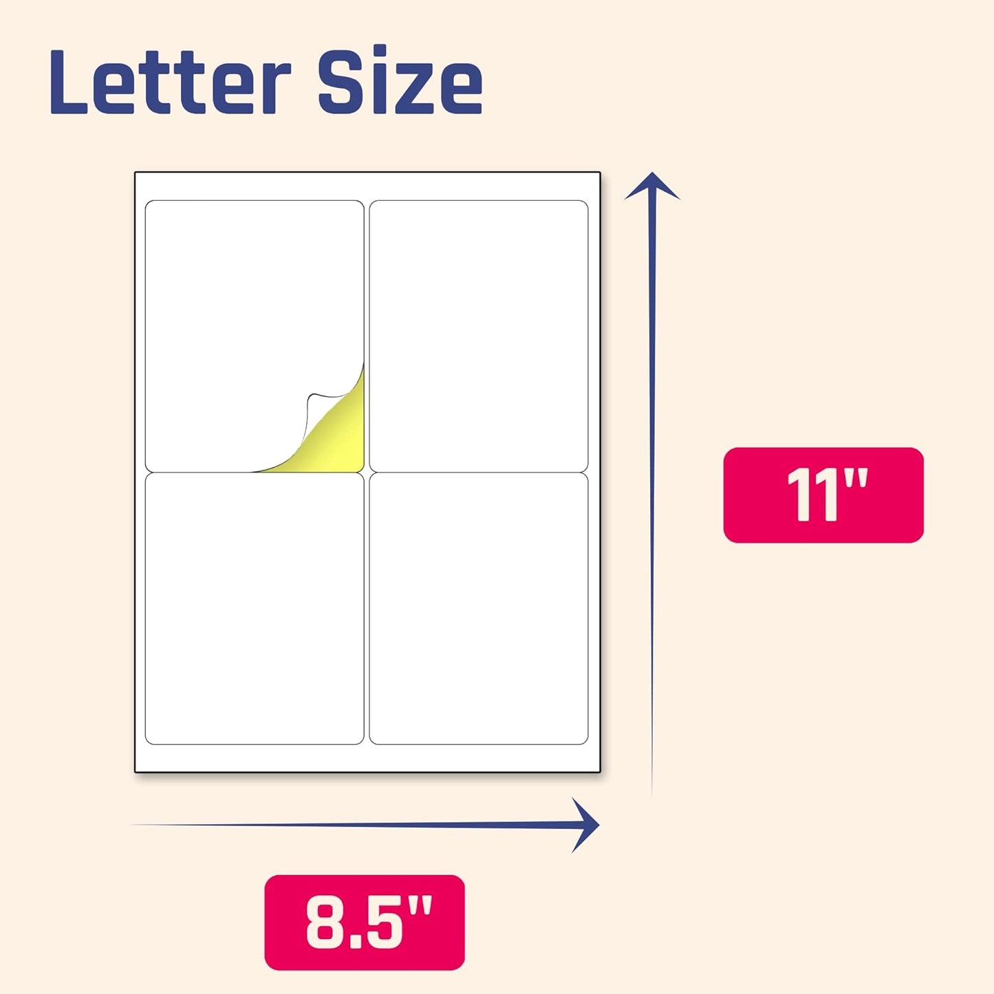 Skiennix Large White Labels Stickers - 30 Sheets (4" x 5") | Laser & Inkjet Printable