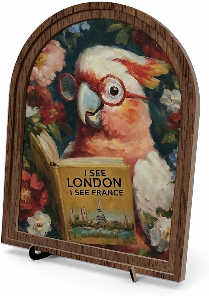 Book Lover Decor Arched Wooden Frame Tabletop Sign, Funny Reading Bird Bookshelf Decor for Desk Shelf and Reading Nook, Vintage Floral Parrot Art Accent