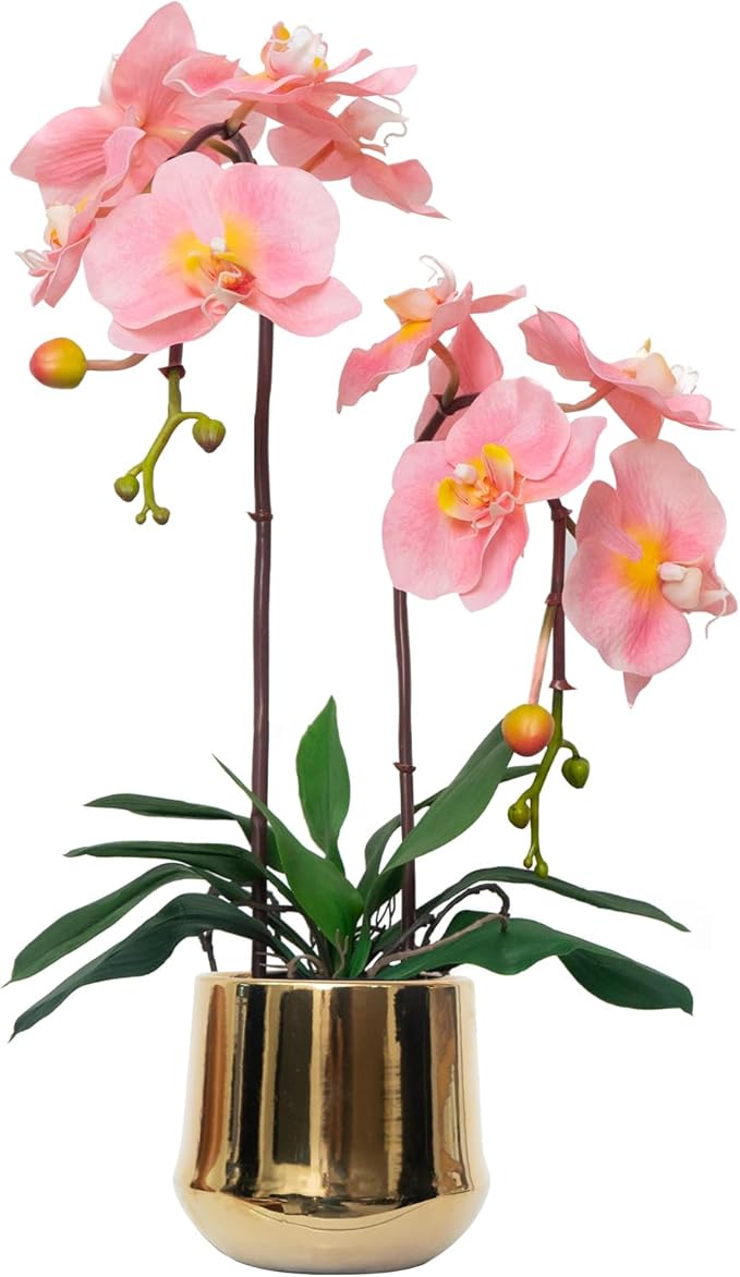 CXGS Orchids Artificial Flowers Realistic Fake Flowers in Ceramic Pot 20" Pink Lifelike Faux Floral Arrangement Soft PU Phalaenopsis for Home Hotel Indoor Decor, Centerpiece Display
