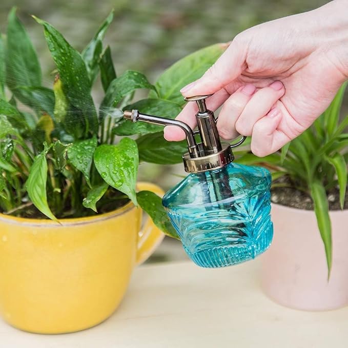 Glass Mini Watering Can & Self - Watering Globe Set - Flower Water Spray Bottle with Terracotta Spike, Perfect Plant Watering Gift for Indoor Outdoor Gardens