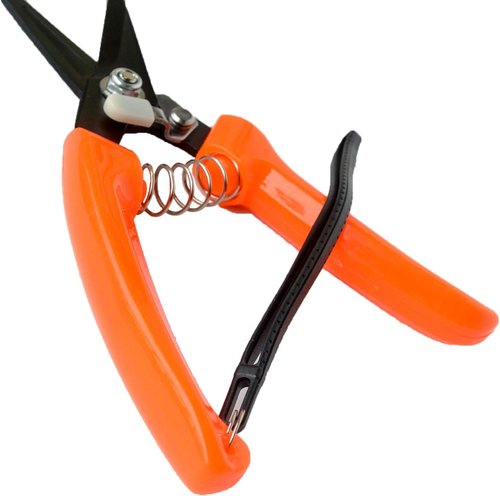 Regine Switzerland Hoof Trimmers - Multiuse Carbon Steel Shears for Goats, Sheep, and Alpacas