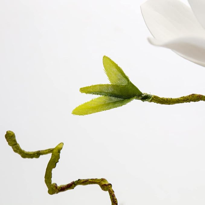 DILATATA Faux Flowers in Vase 15.4" Magnolias Flowers Arrangement with Faux Water Real Touch Flowers for Wedding Table Centerpiece Home Decor, White