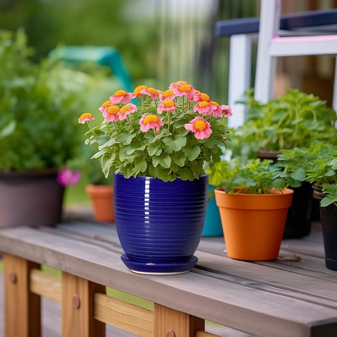 Ceramic Plant Pot - 6 Inch Pots for Plants, Round Ceramic Planters with Drainage Hole and Saucer, Decorative Flower Pots for Indoor Plants, Room Desk Decor, Housewarming Gifts, Glossy Blue