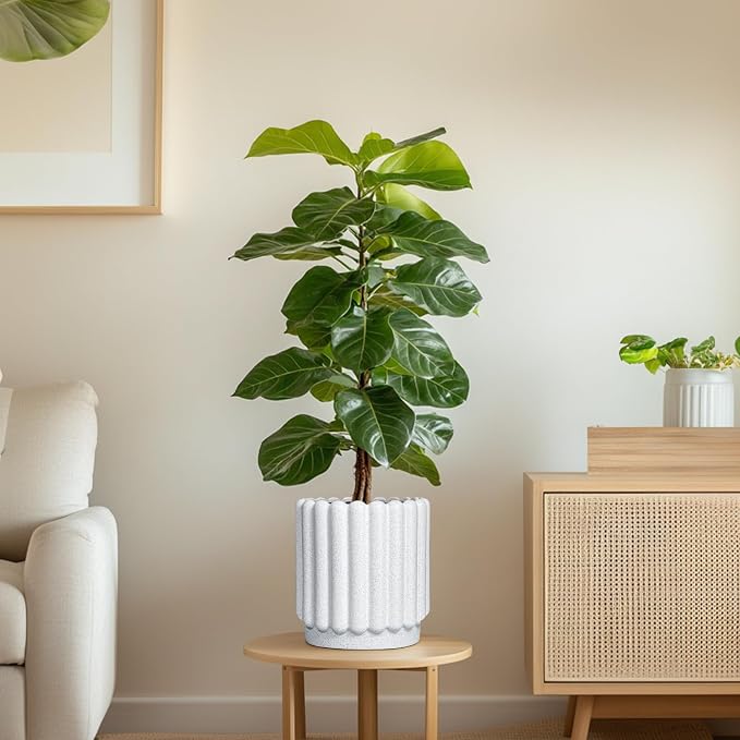 Ceramicfor Ceramic Planters for Indoor Plants - 7.6 Inch Ceramic Plant Pots Outdoor, Round Flower Pots with Drainage Hole, Fluted Modern Planter, Room House Decor, Gifts for Plant Lovers, White