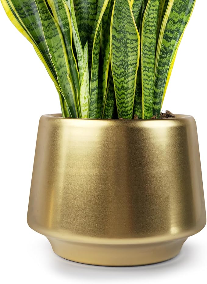 Gold Planter Flower Pots 6 inch Decorative Plant Pots for Indoor Gold Brass Succulent Plant Pots Containers (Dia 6 inch), Small 5.9‘’