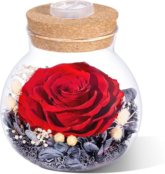 Christmas Birthday Gifts for Women Mom Preserved Rose Eternal Forever Flower in Glass Wishing Bottle with Colorful LED Light Flowers for Delivery Prime for Grandma Wife Sister Friend from Daughter Red