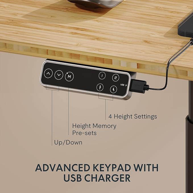 FLEXISPOT E6 Pro Oval Leg Dual Motor 3 Stages Bamboo Whole-Piece Electric Standing Desk 72x30 Inch Board Height Adjustable Electric Sit Stand Up Desk (Black Frame + Bamboo Whole-Piece Desktop)
