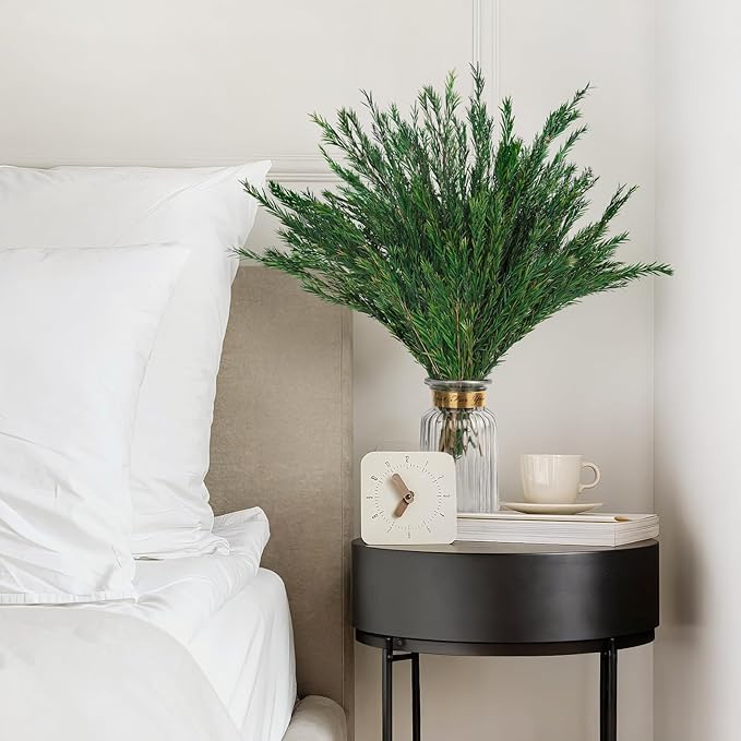 Dried Greenery Stem Decor, 2 Bundles 17" Real Green Melaleuca Bracteata Branch Preserved Plant for Home Vase Floral Design DIY Arrangement Fragment Spring Decorations (Natural Green)