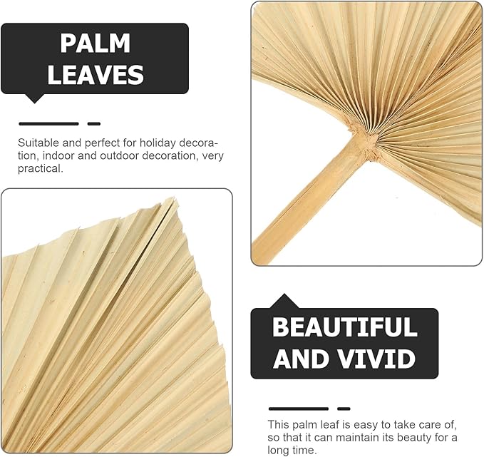Unomor 3pcs Natural Dried Palm Leaf Decoration for Wedding Layout and Cocktail Party Adornments Premium Handmade Palm Fans for DIY Flower Arrangement Boho Wall Art and Window Display