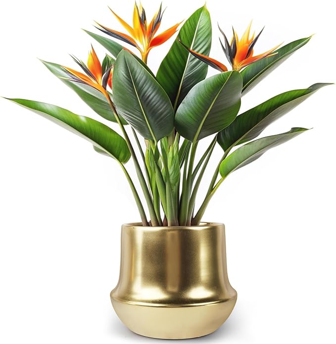 Gold Ceramic Planter Indoor Flower Pots Modern Decorative Large Plant Pot 7.1 inch Gold Brass Planter for All House Plants,Succulents,Flowers and Cactus