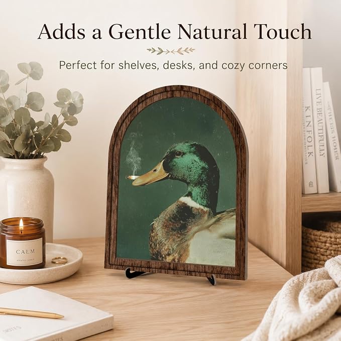 Wooden Sign with Stand Decoration, Mallard Duck Decor Arched Wood Frame Tabletop Decor, Funny Duck Retro Whimsical Print for Bedroom Living Room Desk Mantel Bookshelf Cabin Office