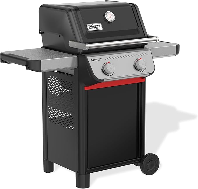 Weber Spirit E-210 Liquid Propane Gas Grill for Outdoor Cooking and BBQ, 2 Burners, Black