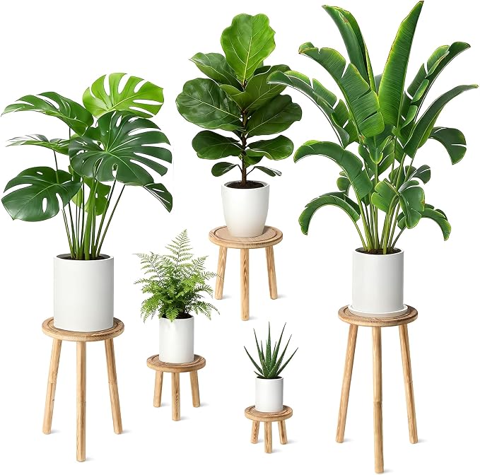 5-Pack Wood Plant Stands Indoor, Single Plant Stand for 6-22 Inch Pots, Mid-Century Modern Plant Stool, Tall Plant Stand for Large Plants Perfect Fit for Living Room, Balcony, Office (Light Brown)