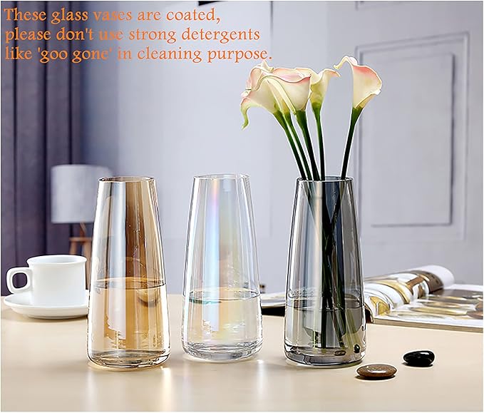 FANTESTICRYAN Modern Glass Vase Irised Crystal Clear Glass Vase for Home Office Decor (Crystal Amber)