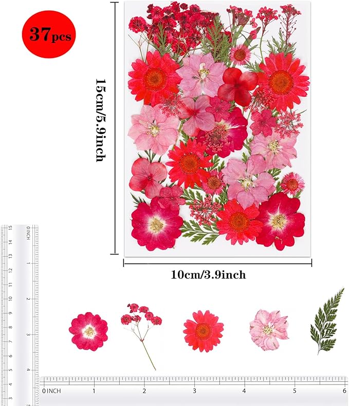 37Pcs Red Dried Pressed Flowers Natural Dried Flowers for Resin,Real Pressed Flowers for Crafts,Dry Flowers for Resin Molds DIY Scrapbookin Candle Jewellery Making