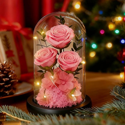 Birthday Gifts for Women Mom Fresh Flowers for Delivery Prime Forever Preserved Rose in Glass Dome Gifts for Her Girlfriend Grandma Daughter Wife Valentines Mothers Day Christmas Anniversary-Pink