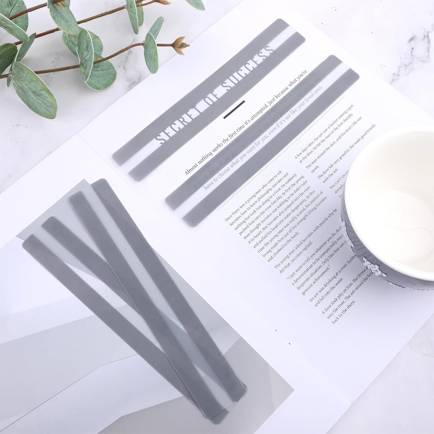 Skiennix Guided Reading Strips - 12 Pcs Overlay Bookmark Set for Dyslexia Support | Clear Design