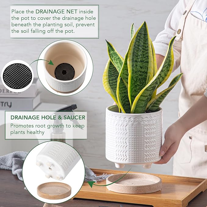 Indoor-Outdoor Ceramic Plant Pots: 6 Inch Flower Pots with Drainage Hole & Saucer - Decorative Ceramic Pots for Plants Herbs Succulents - Home Garden Patio Lawn Use