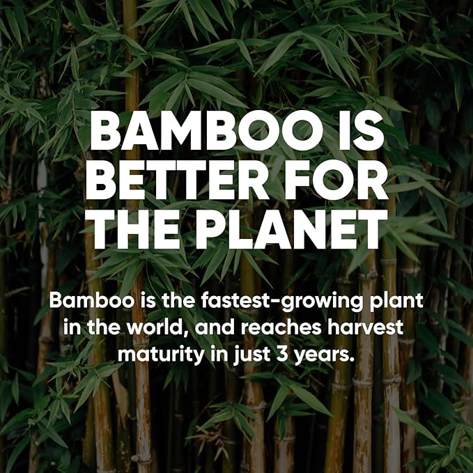 Save Trees Bamboo Facial Tissues -24 Boxes- Bamboo Tissue Boxes, 90 Hypoallergenic Facial Tissues per Box - Unscented, Fragrance-Free, Eco-Friendly Tissues in Plastic-Free Packaging