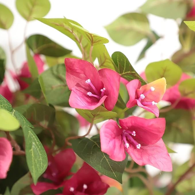 Damomo 5 Feet Artificial Bougainvillea Tree with Flowers in Plastic Pot Faux Blooming Tree for Decor Indoor or Outdoor Home Office, 1 PCS(63 inch)