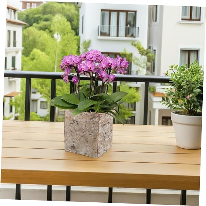 Birch Bark Succulent Planter Box Natural Wooden Flower Pot with Ventilation Vintage Rustic Vase for Home Office Patio Balcony Decor DIY Holiday Craft Container