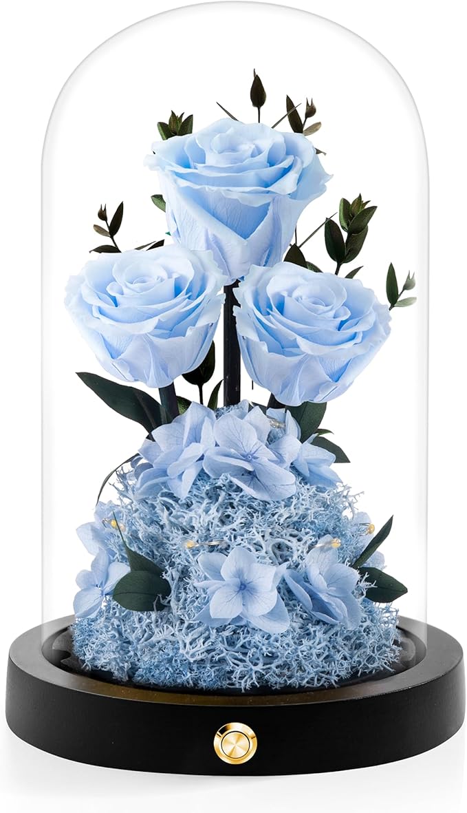 Christmas Flowers Roses Gifts for Mom,Forever Real Preserved Roses in Glass Dome,Christmas Anniversary Thanksgiving Gifts for Wife Girlfriend Women Best Friend Grandma/Blue