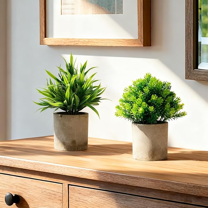 Artificial Potted Plants Set of 5, Realistic Faux Greenery in Cement Pots for Home Office Desk Bookshelf Decor, Small Fake Plants for Indoor Tabletop Decoration