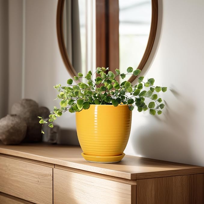 Ceramic Pots for Plants - 6 Inch Plant Pot for Indoor Plants, Ceramic Planter with Drainage Hole and Saucer, Round Decorative Flower Pots, Desk Home Decor, Plant Lover Gifts, Glossy-Yellow