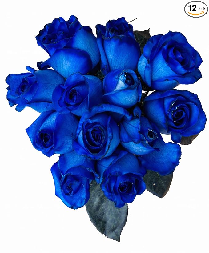 FRESH Blue Roses Bouquet by Flower Explosion - 12 Stems