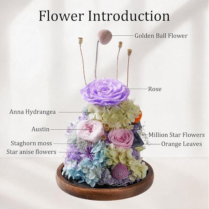 Flowers for Delivery - Forever Flowers Rose in Glass Dome with LED Lights, Large Size Preserved Roses Gifts for Women, Mom, Wife, Friend -Birthday, Anniversary, Valentine's Day Gift (Purple+Pink)