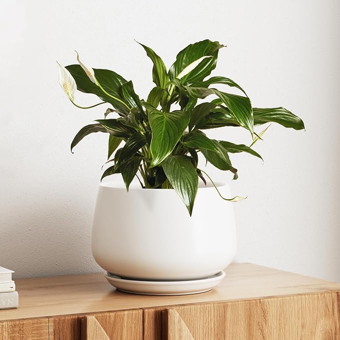 LE TAUCI Ceramic Planter, 10 Inch Plant Pot with Drainage Hole & Saucer – Durable Indoor Planter for Modern Home Decor, White
